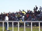 apm (3555 visitas) apm